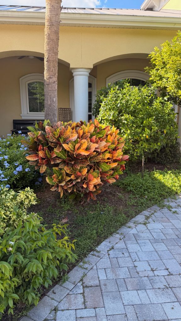 Front entry before
