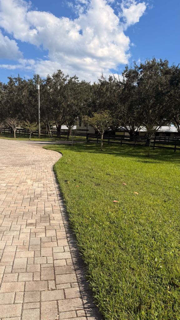 South fence crepes before