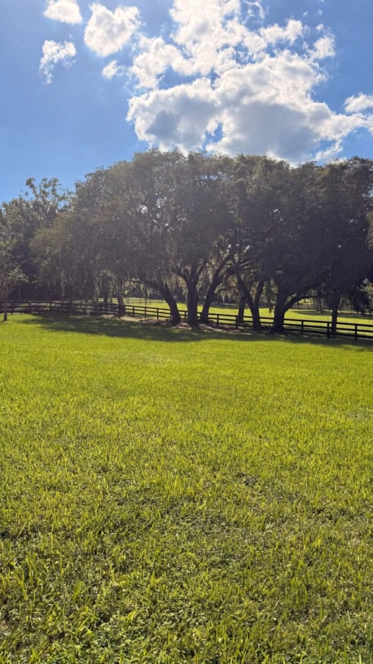 SW fence oak after