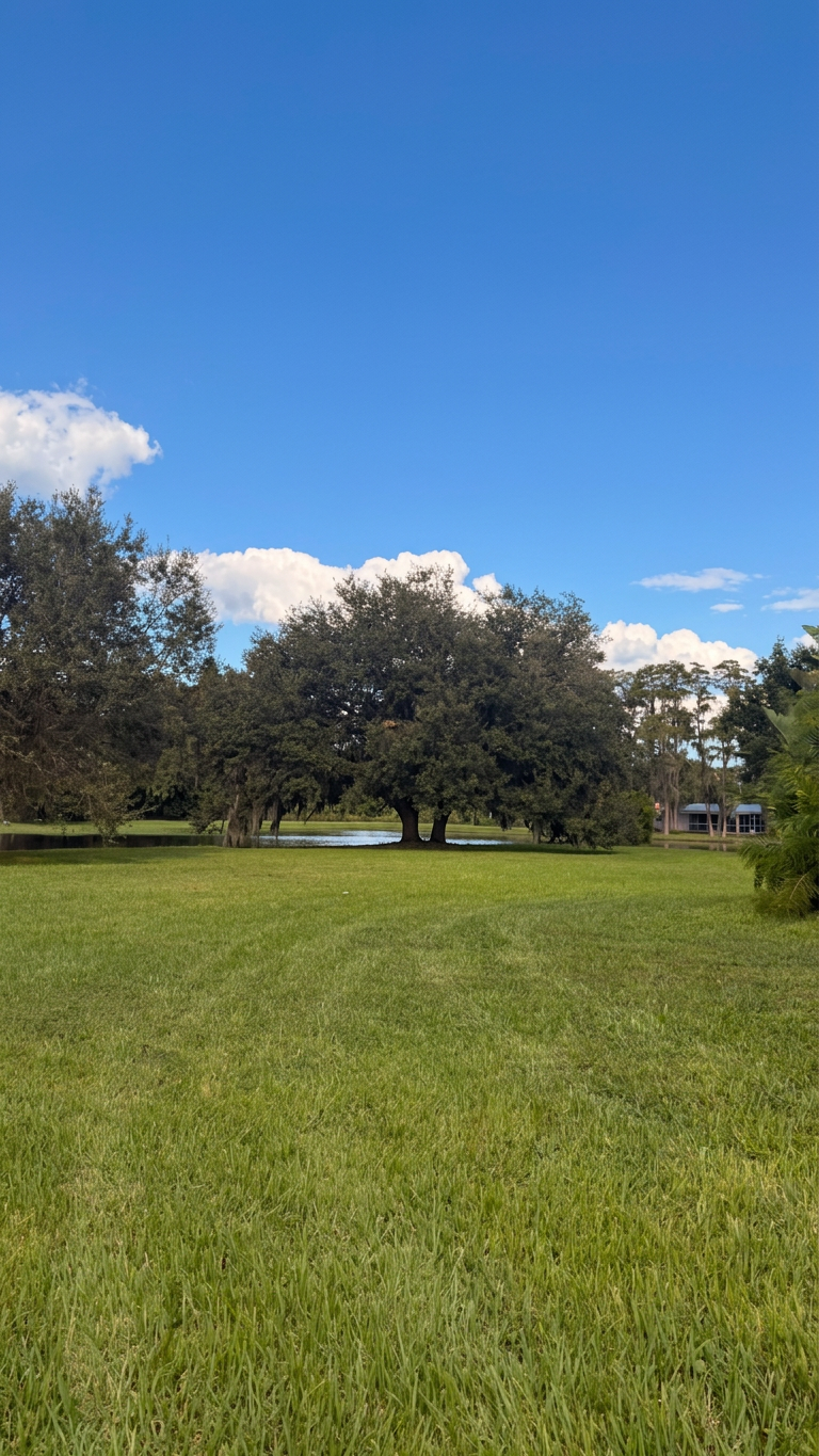 Lake-edge oak after